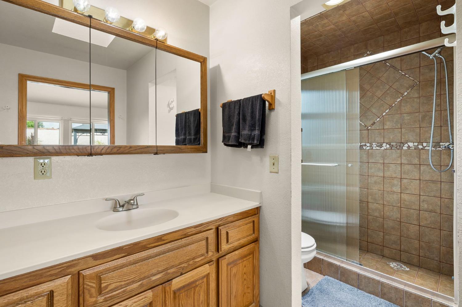 150 North Donna Street Oak View, CA 93022 - Photo 25 of 47 a bathroom with a sink a toilet a mirror and shower