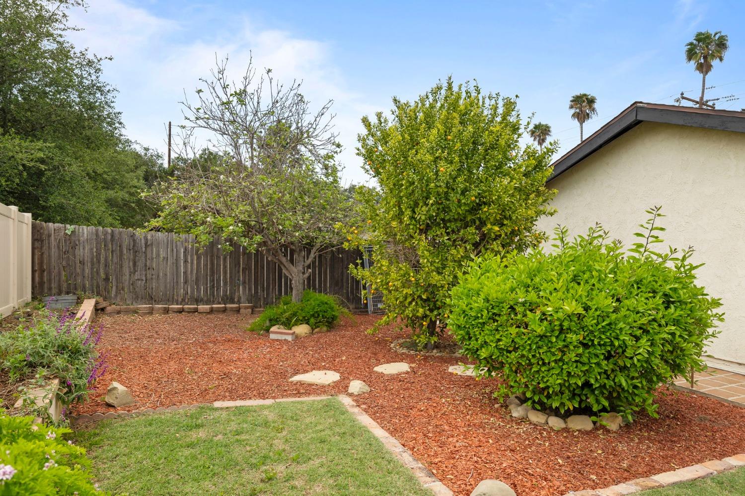 150 North Donna Street Oak View, CA 93022 - Photo 40 of 47 a backyard of a house