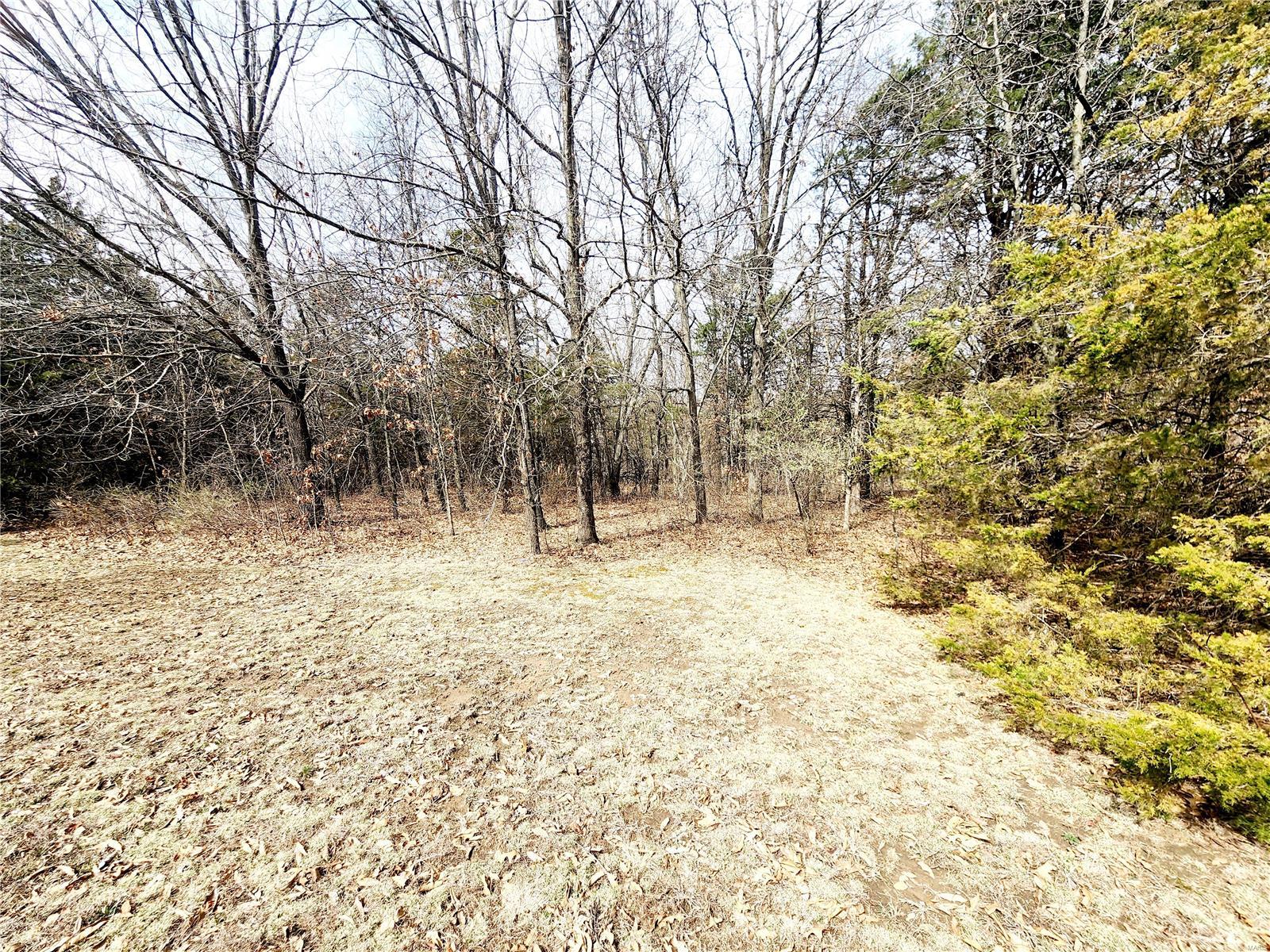 43263 Ely Branch Road Perry, MO 63462 - Photo 12 of 15