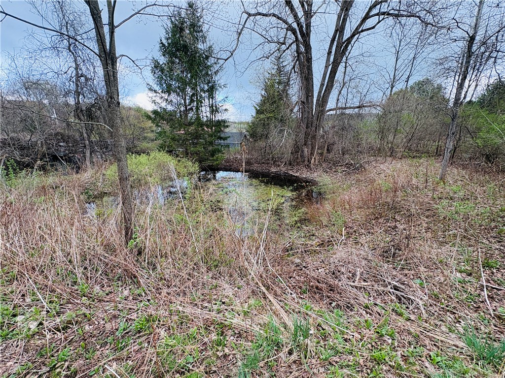0 Marsh Road Addison, NY 14801 - Photo 1 of 1