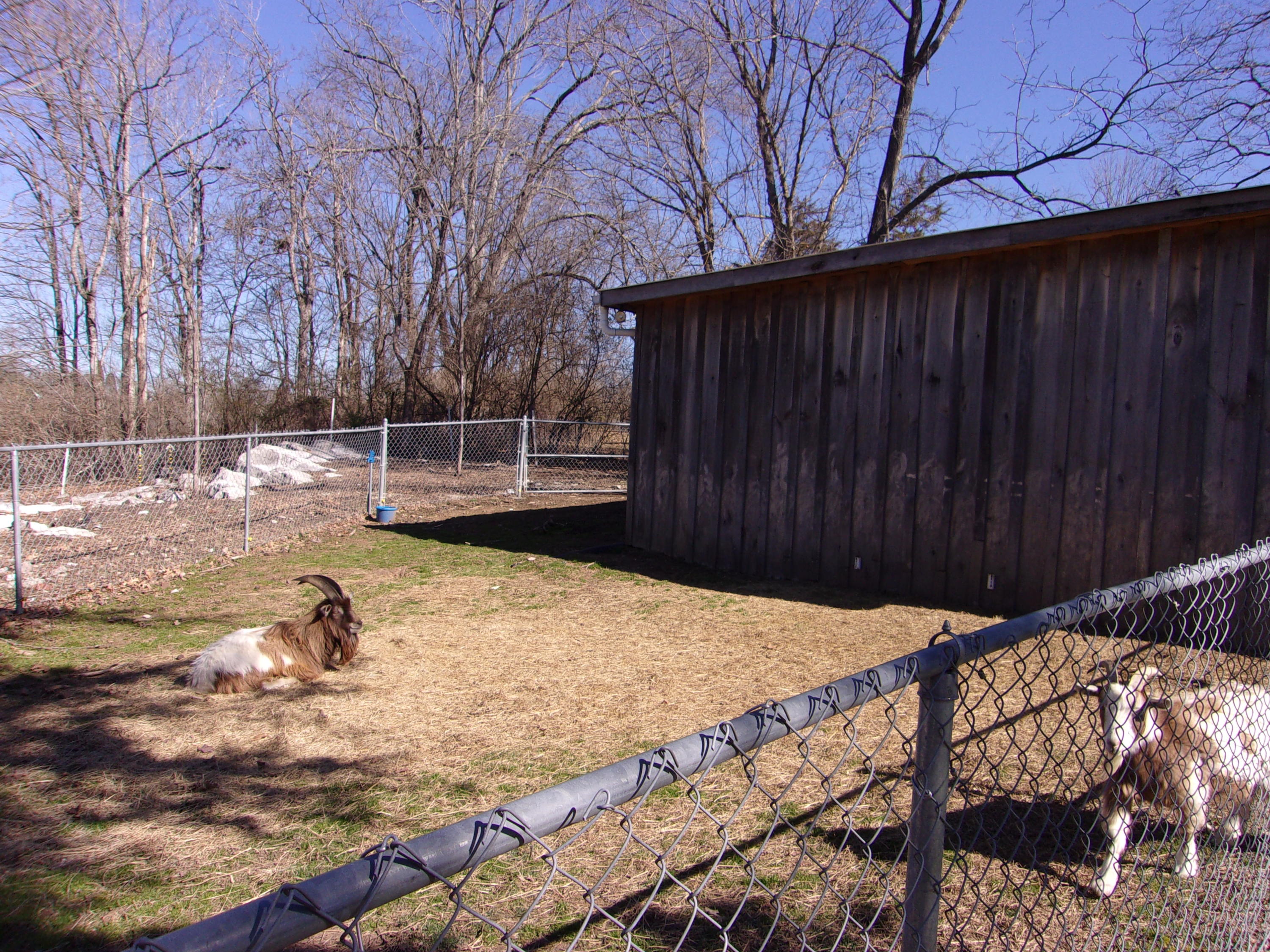 406 Cedar Fork Road Tazewell, TN 37879 - Photo 24 of 24 100_0049