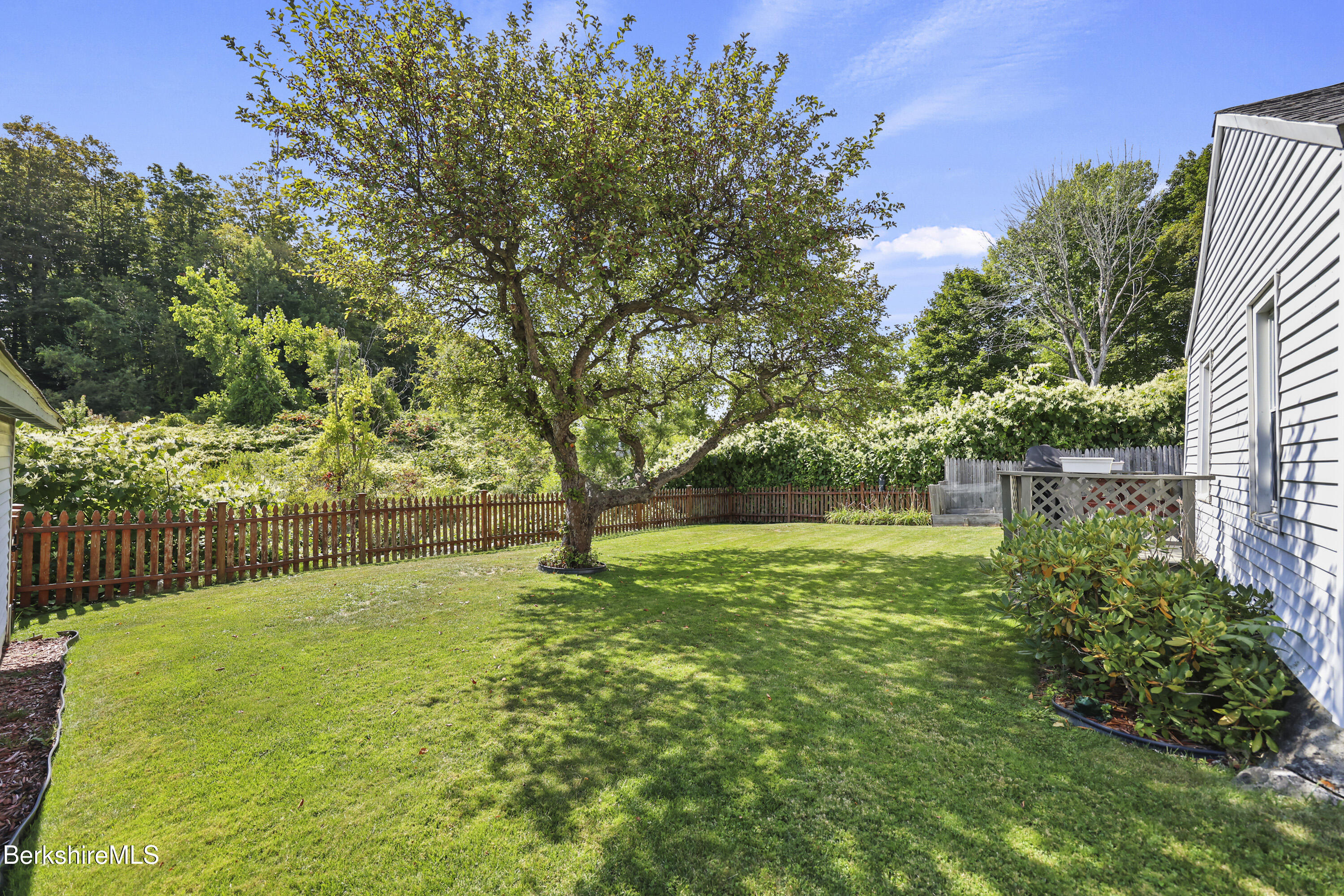 377-379 Pecks Road Pittsfield, MA 01201 - Photo 28 of 31 Back Yard