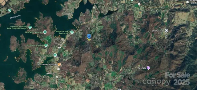 a view of a forest with houses