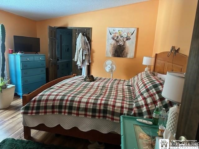 13170 Transit Line Road Concord, NY 14141 - Photo 13 of 27
