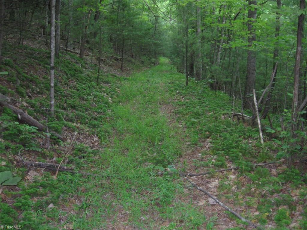 Tbd Poorhouse Creek Road Stuart, VA 24171 - Photo 1 of 7
