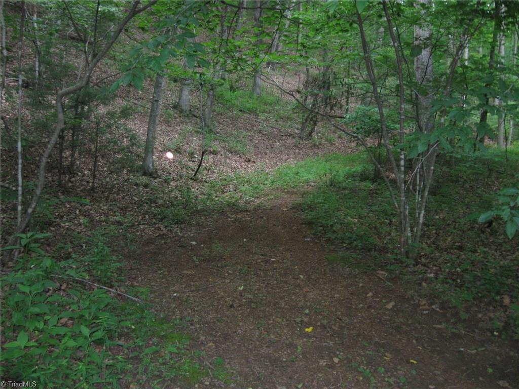 Tbd Poorhouse Creek Road Stuart, VA 24171 - Photo 3 of 7