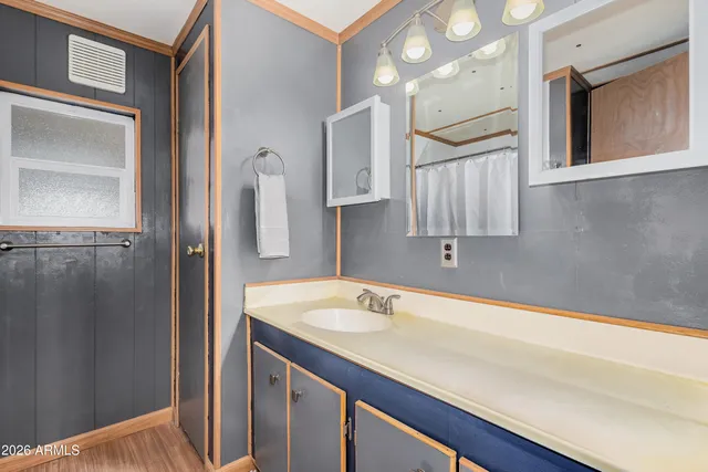 a bathroom with a sink and a mirror