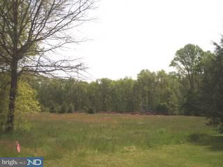 0 Slabtown Road Elmer, NJ 08318 - Photo 1 of 2 Gallery Image 1