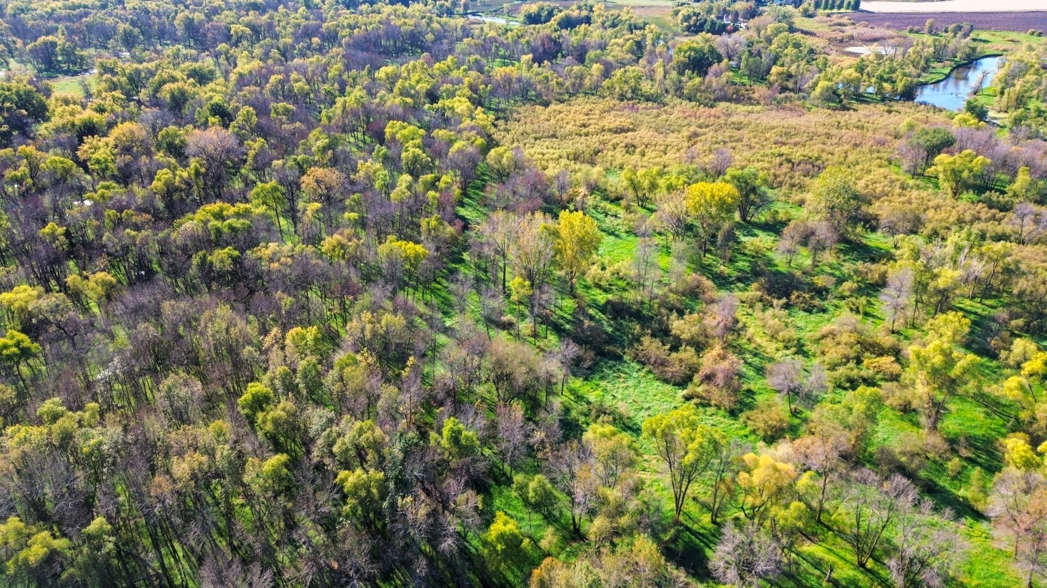 4250 35th Street Southwest Waverly, MN 55390 - Photo 11 of 35