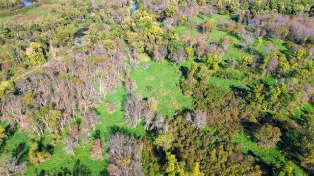 $850,000 | 4250 35th Street Southwest, Waverly, MN 55390