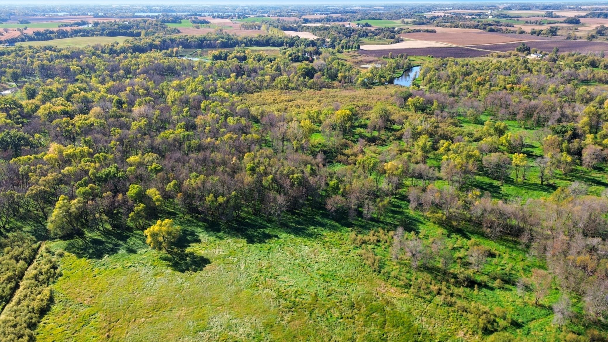 4250 35th Street Southwest Waverly, MN 55390 - Photo 9 of 35