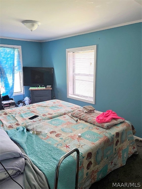 8325 Coffee Springs Road Coffee Springs, AL 36318 - Photo 15 of 31 Gallery Image 15