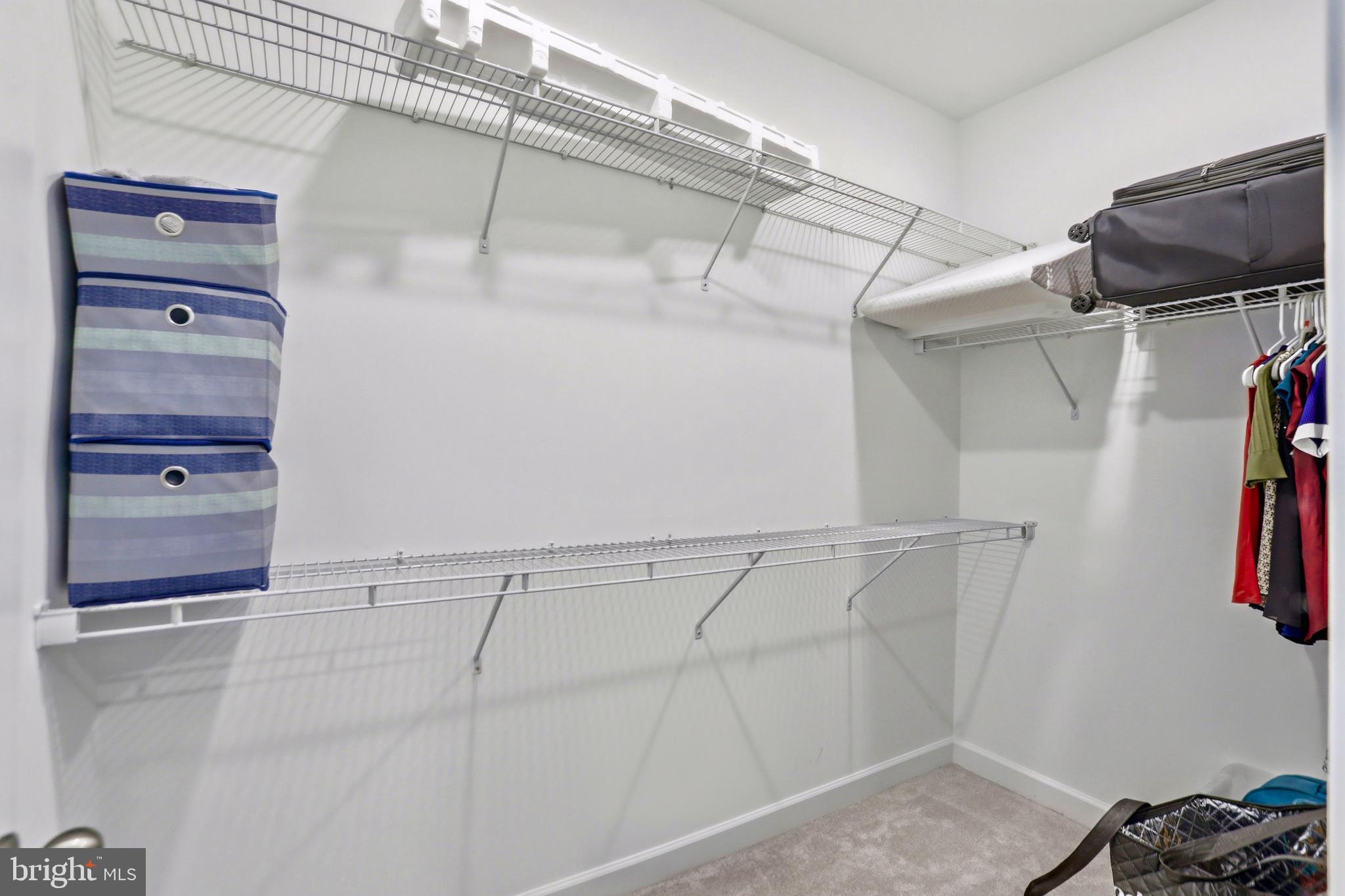 4965 Longmire Way Chantilly, VA 20151 - Photo 16 of 41 a view of walk in closet with clothes and shoes