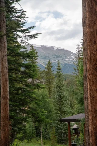 a view of a city with lush green forest