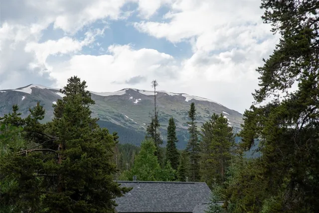 a view of a mountain in the distance in a field