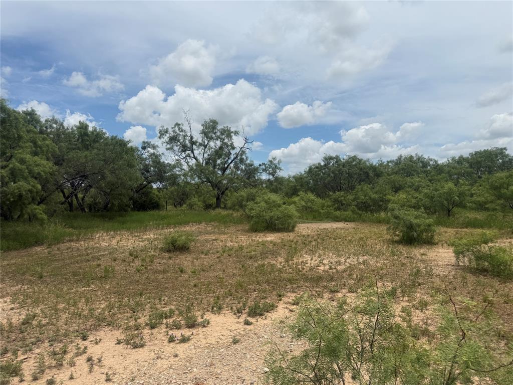 Tbd Coppic Ranch Road Brownwood, TX 76801 - Photo 3 of 13