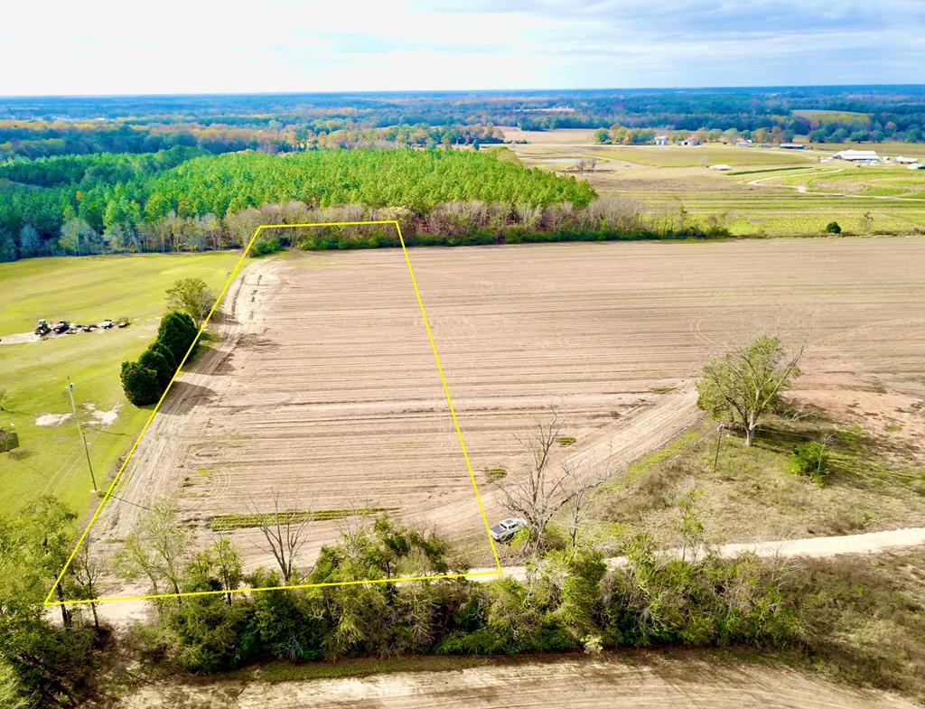 3.42-acres Summer Road Slocomb, AL 36375 - Photo 1 of 24