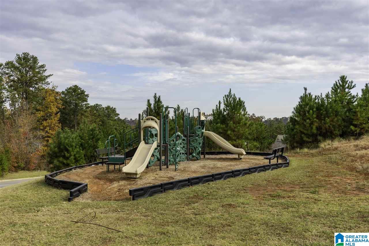 230 Briar Ridge Lane Odenville, AL 35120 - Photo 26 of 26