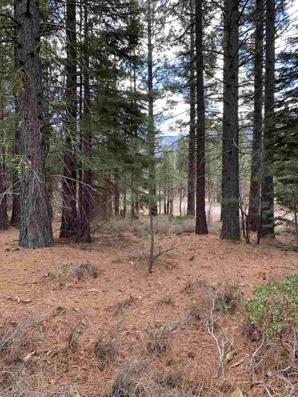 10 Mill Road Calpine, CA 96124 - Photo 4 of 18