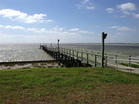 527 2nd Street Bayside, TX 78340 - Photo 26 of 32 a view of a garden with an ocean view