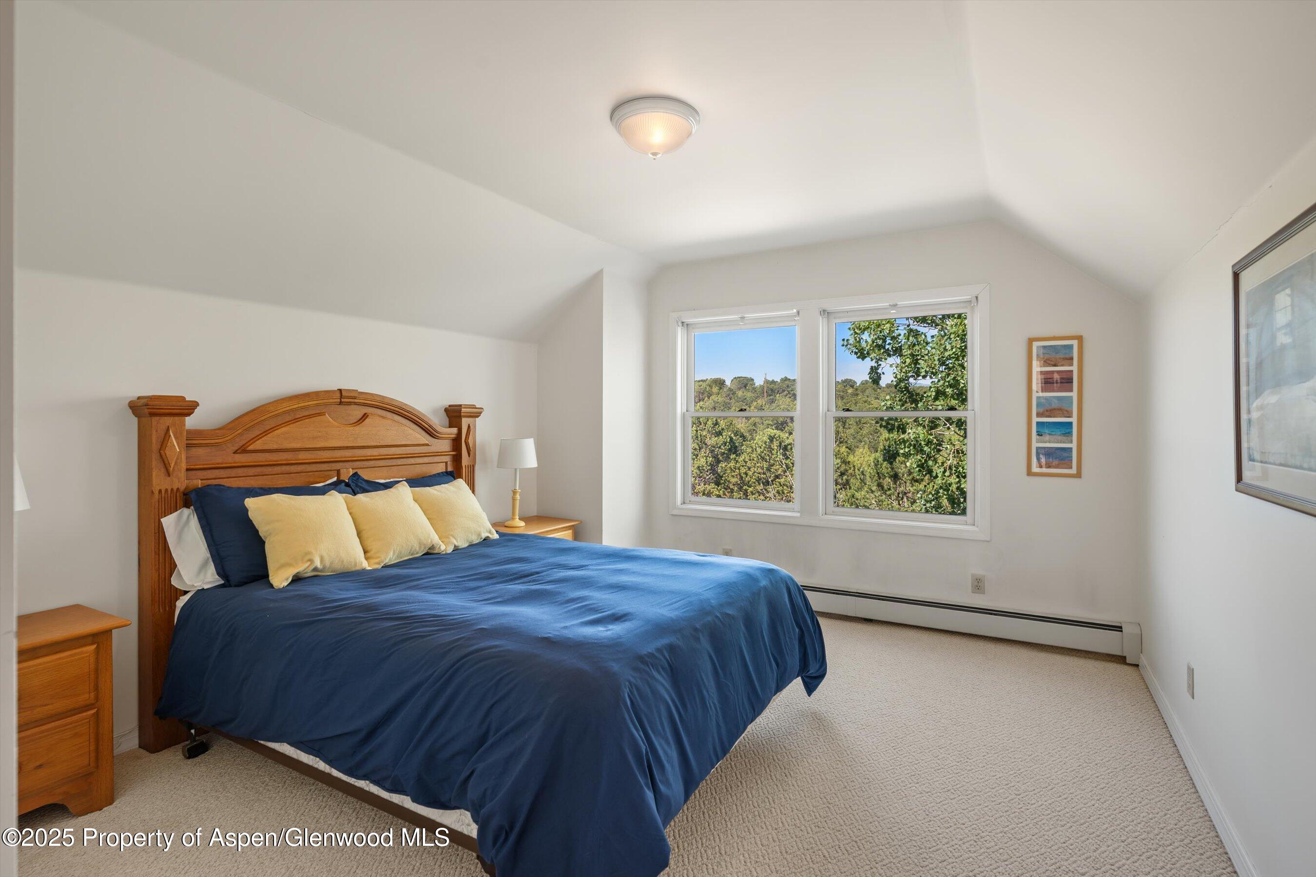 5357 County Road 100 Carbondale, CO 81623 - Photo 23 of 39 38-5357CoRd100_25080838