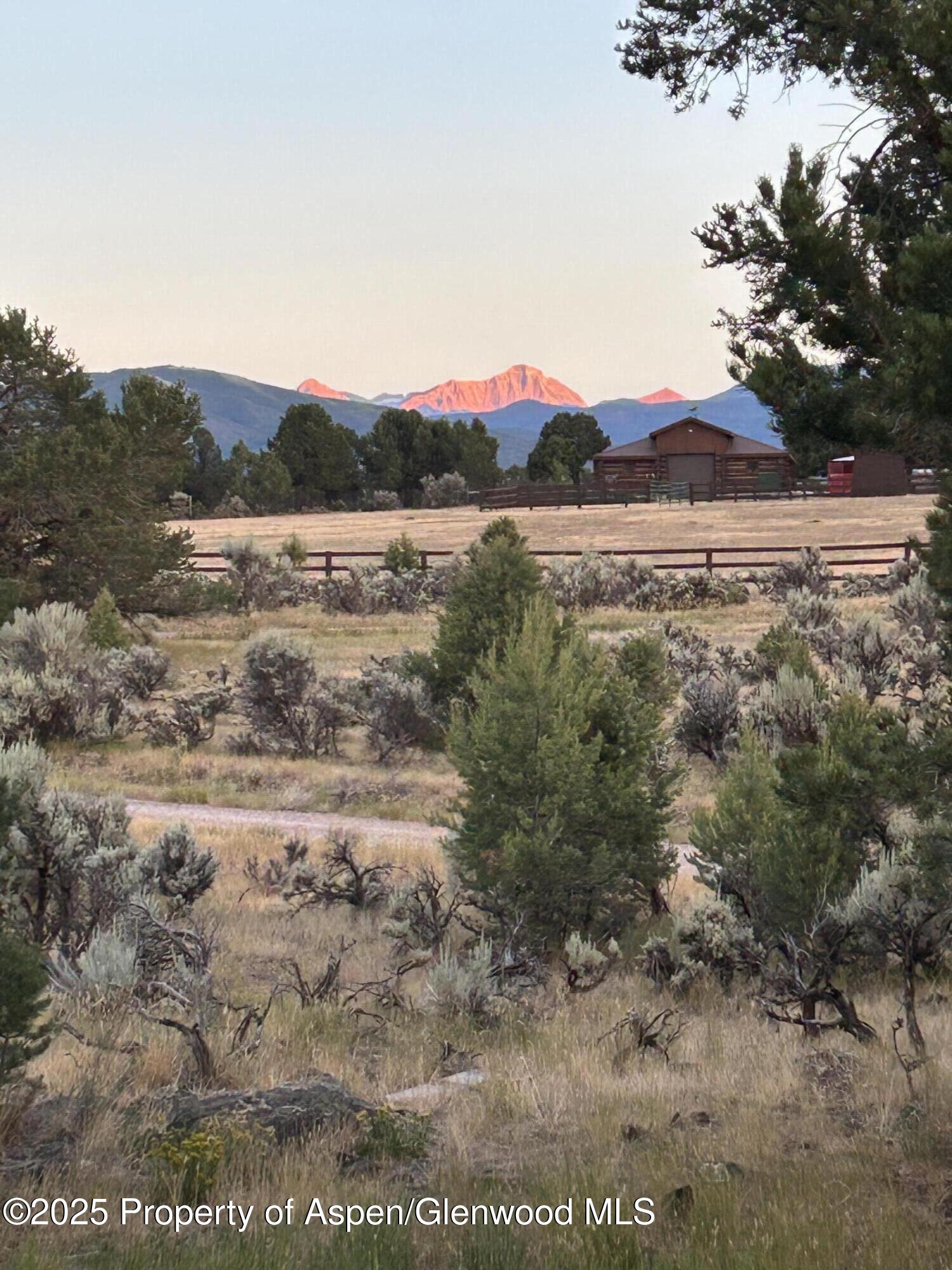 5357 County Road 100 Carbondale, CO 81623 - Photo 32 of 39 IMG_7450