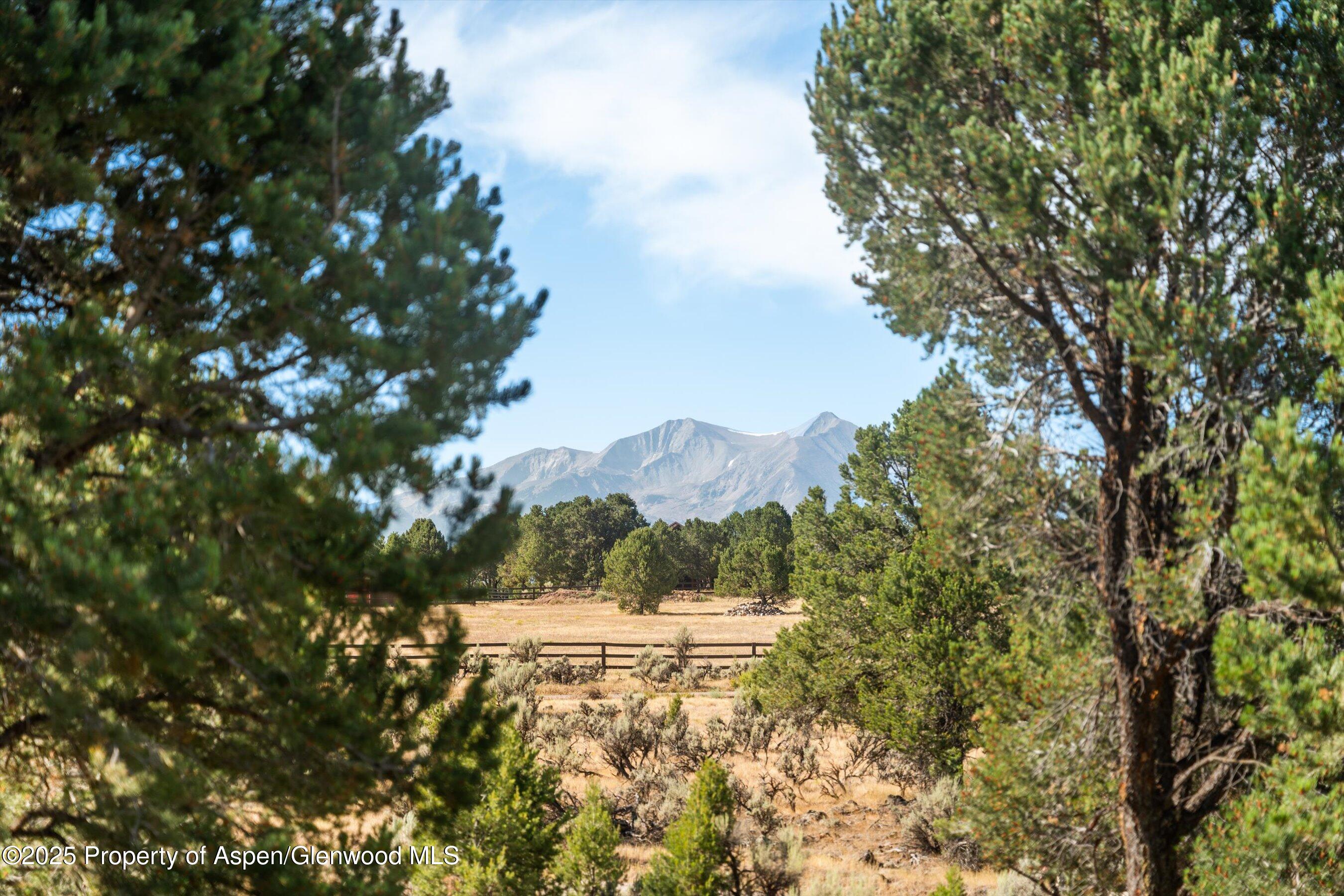 5357 County Road 100 Carbondale, CO 81623 - Photo 5 of 39 25-5357CoRd100_25080825