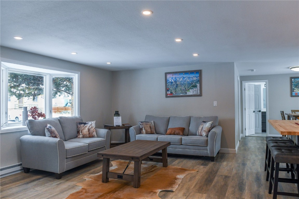 452 Cascade Circle Silverthorne, CO 80498 - Photo 10 of 35 a living room with furniture and a couch