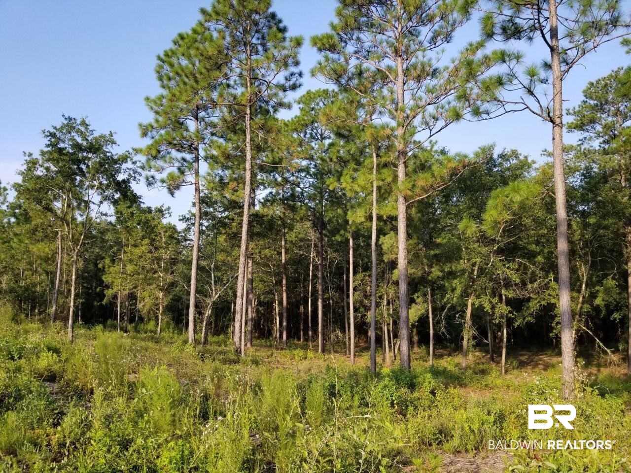 0 Jerkins Loop Atmore, AL 36502 - Photo 33 of 50