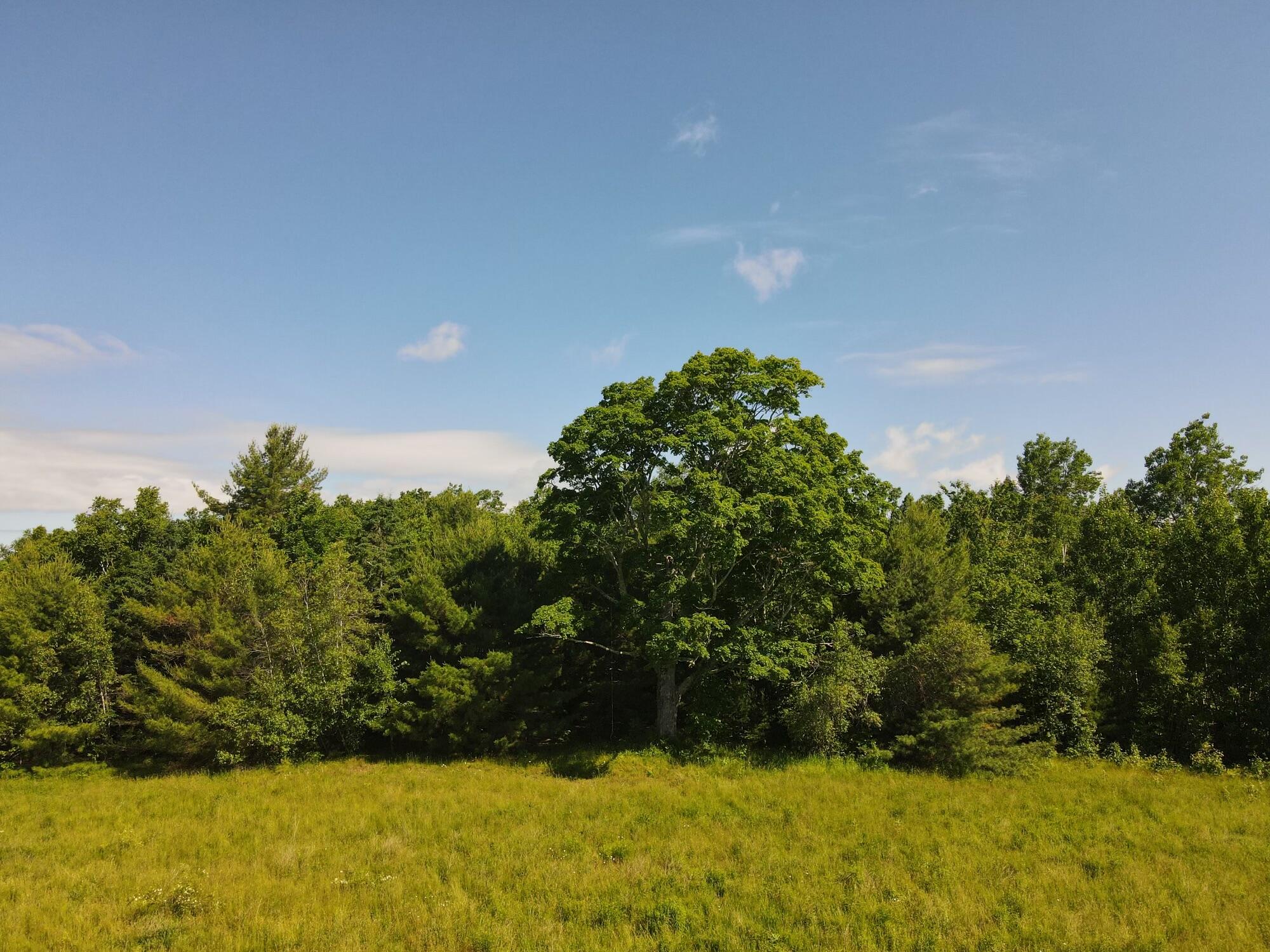 Lot 3 East Newport Road Stetson, ME 04488 - Photo 14 of 23 dji_fly_20240613_092000_170_171828483152