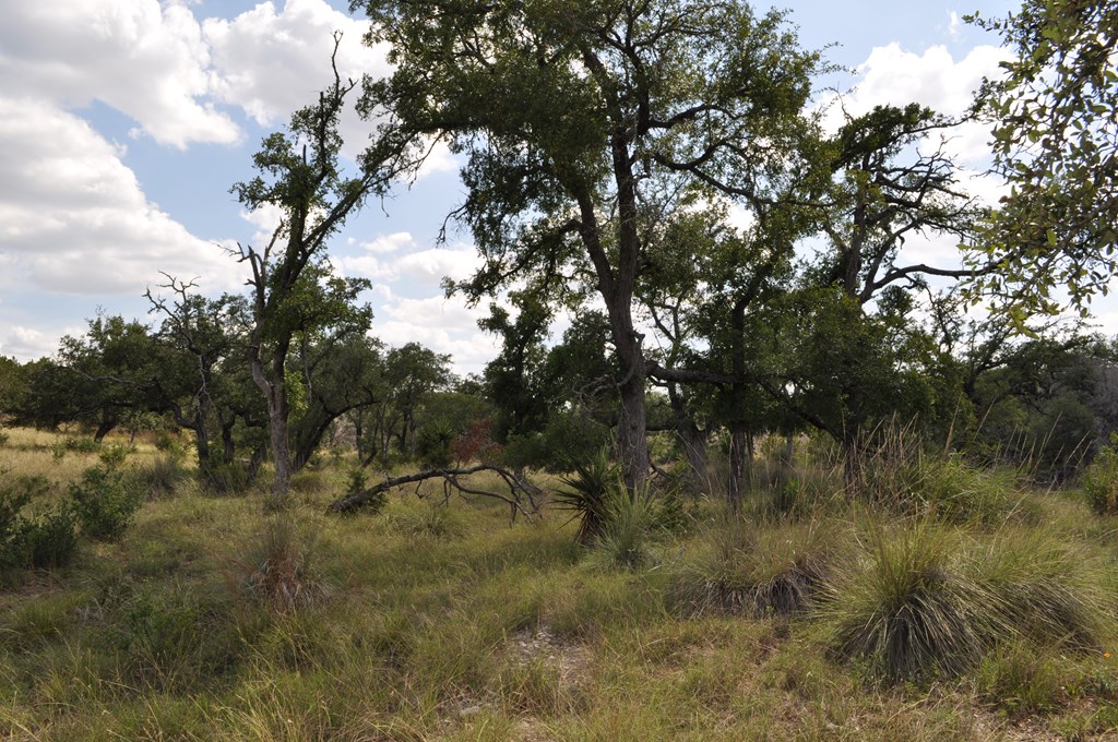 541 Rough Hollow Road Johnson City, TX 78636 - Photo 14 of 30 Gallery Image 14