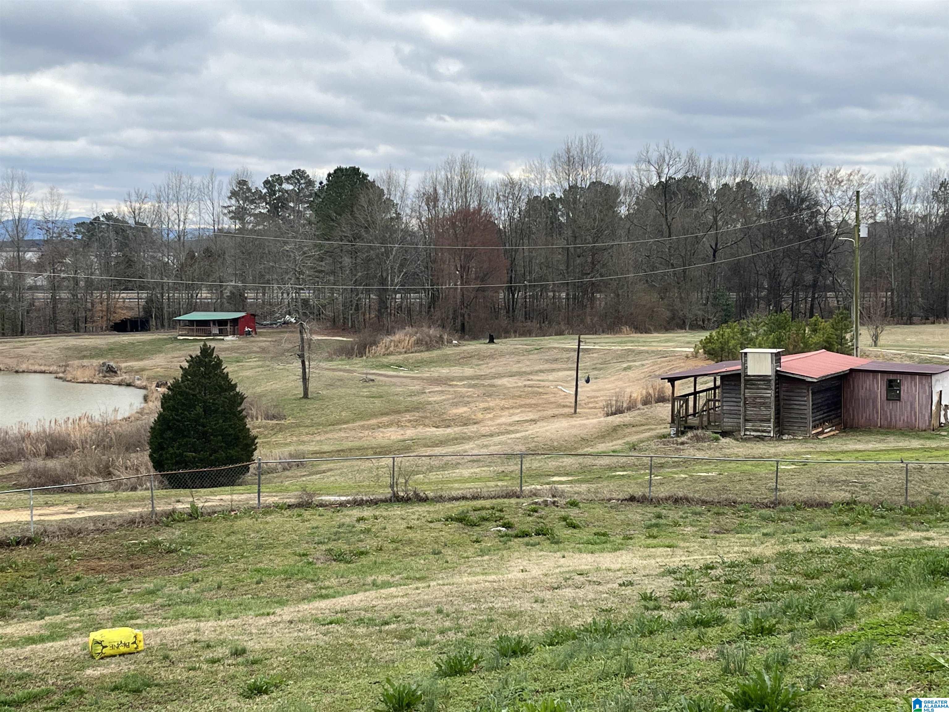 320 Deer Run Road Leesburg, AL 35983 - Photo 13 of 54