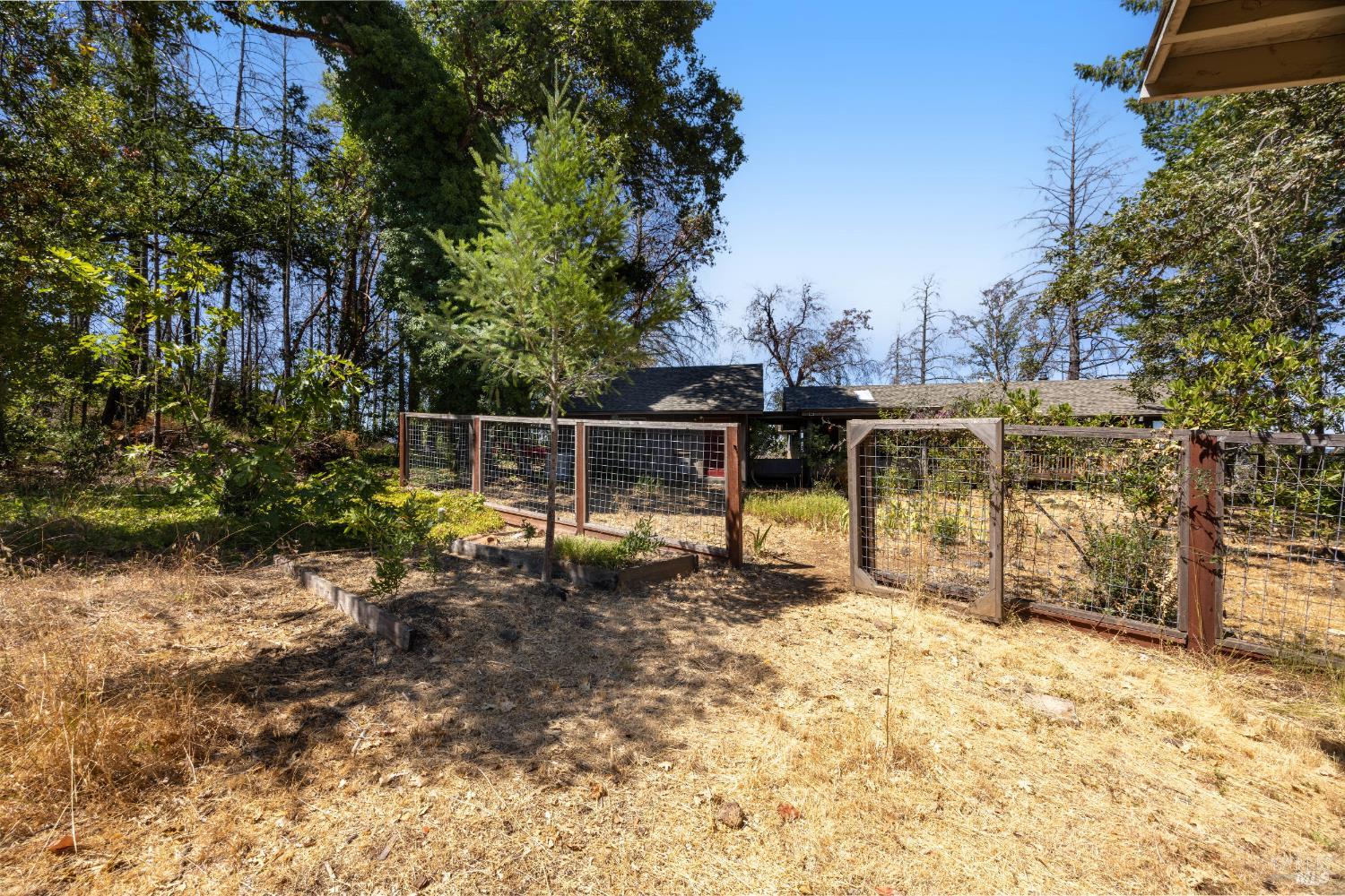 3880 Spring Mountain Road St. Helena, CA 94574 - Photo 53 of 57