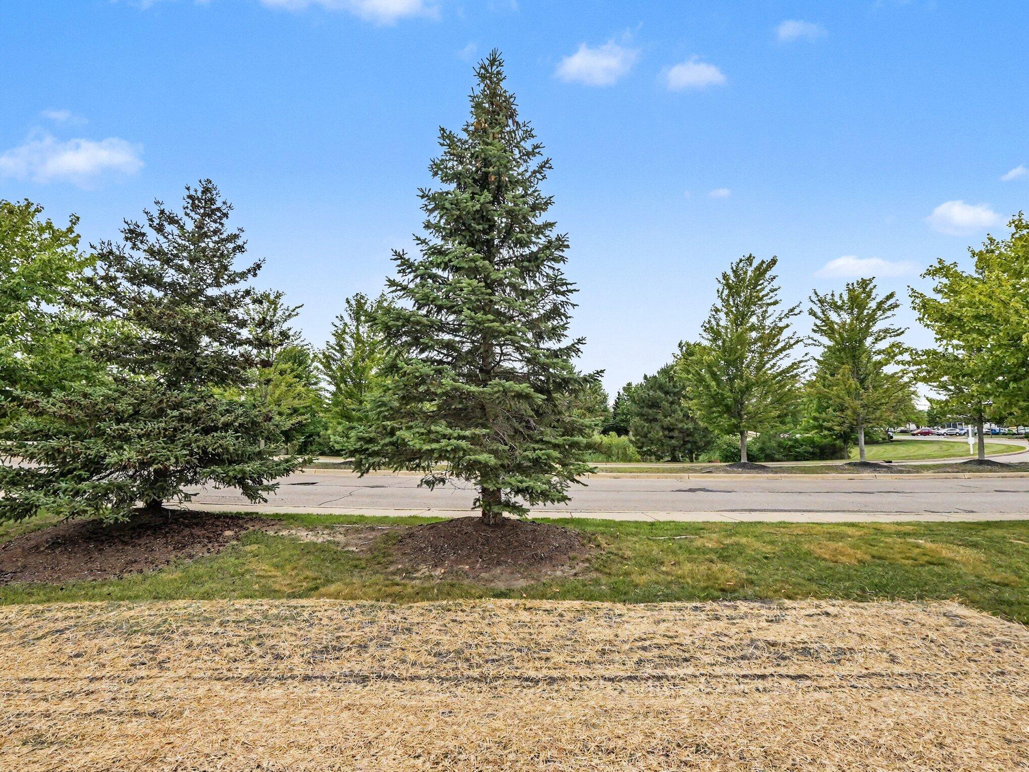 404 Riversedge Drive Saline, MI 48176 - Photo 25 of 25 025_file_9452