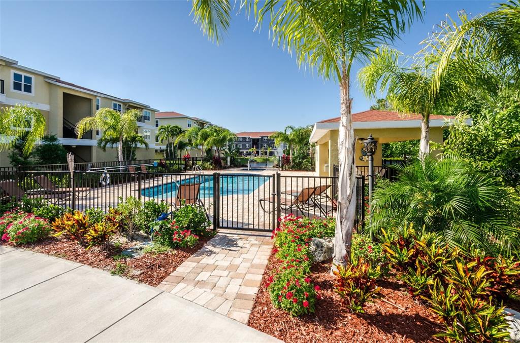 5064 Royal Palms Way, Unit 204 New Port Richey, FL 34652 - Photo 52 of 89