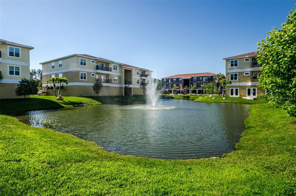 5064 Royal Palms Way, Unit 204 New Port Richey, FL 34652 - Photo 68 of 89