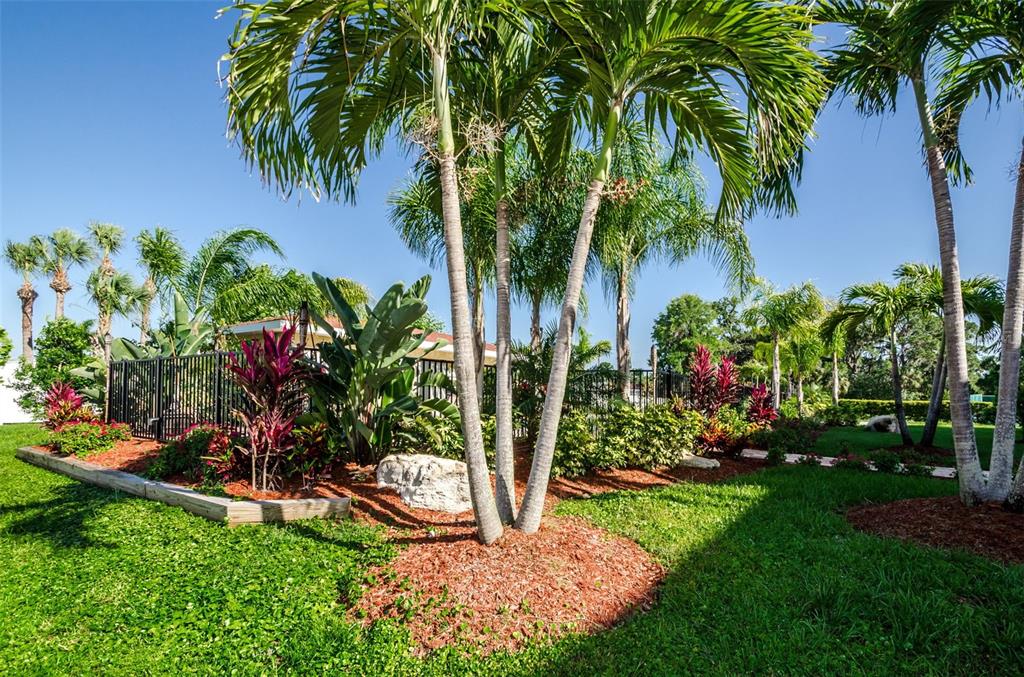 5064 Royal Palms Way, Unit 204 New Port Richey, FL 34652 - Photo 74 of 89