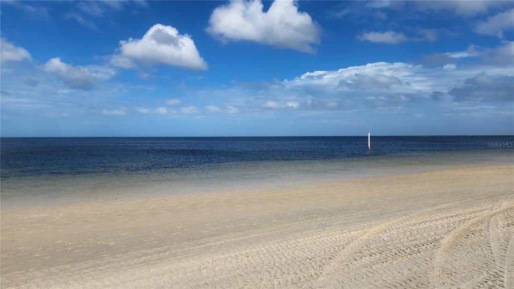 5064 Royal Palms Way, Unit 204 New Port Richey, FL 34652 - Photo 87 of 89