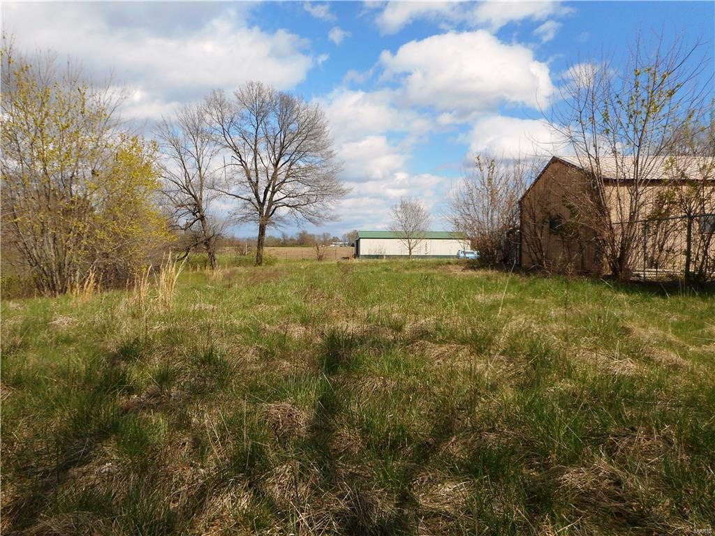 11231 Mayer Road Marine, IL 62061 - Photo 21 of 31