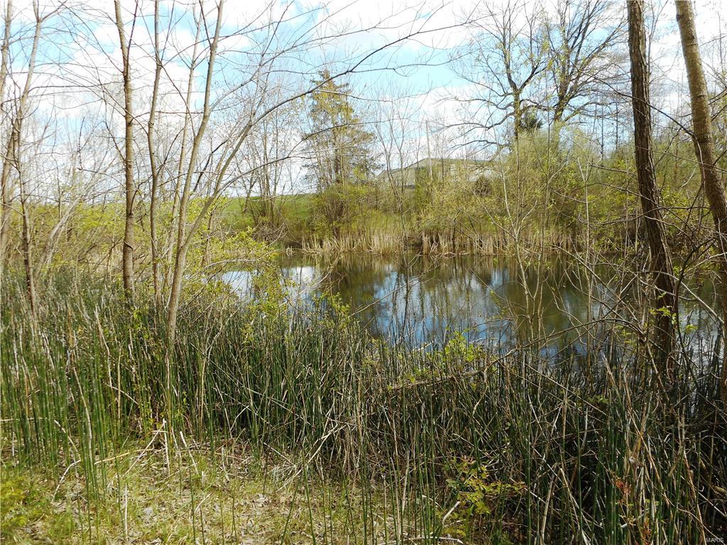 11231 Mayer Road Marine, IL 62061 - Photo 5 of 31