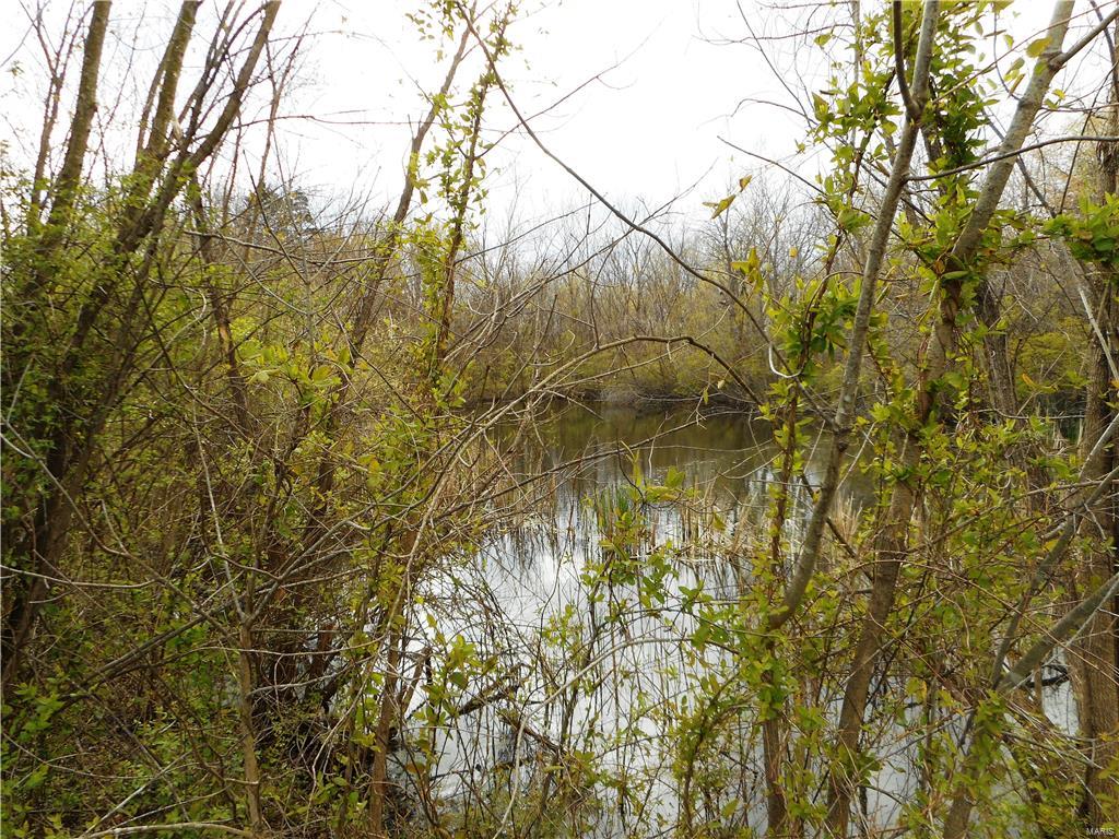 11231 Mayer Road Marine, IL 62061 - Photo 7 of 31