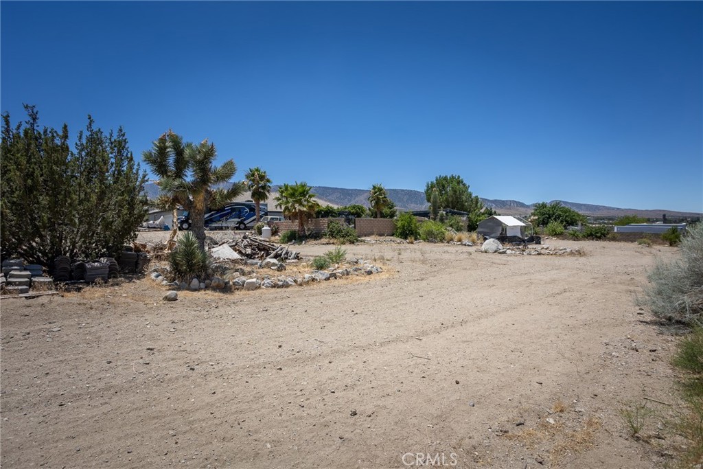 1220 Smoke Tree Road Pinon Hills, CA 92372 - Photo 38 of 47 Yard
