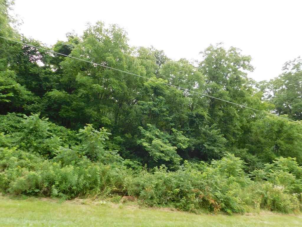 0 Hill Valley Road Mount Union, PA 17260 - Photo 5 of 6 Gallery Image 5