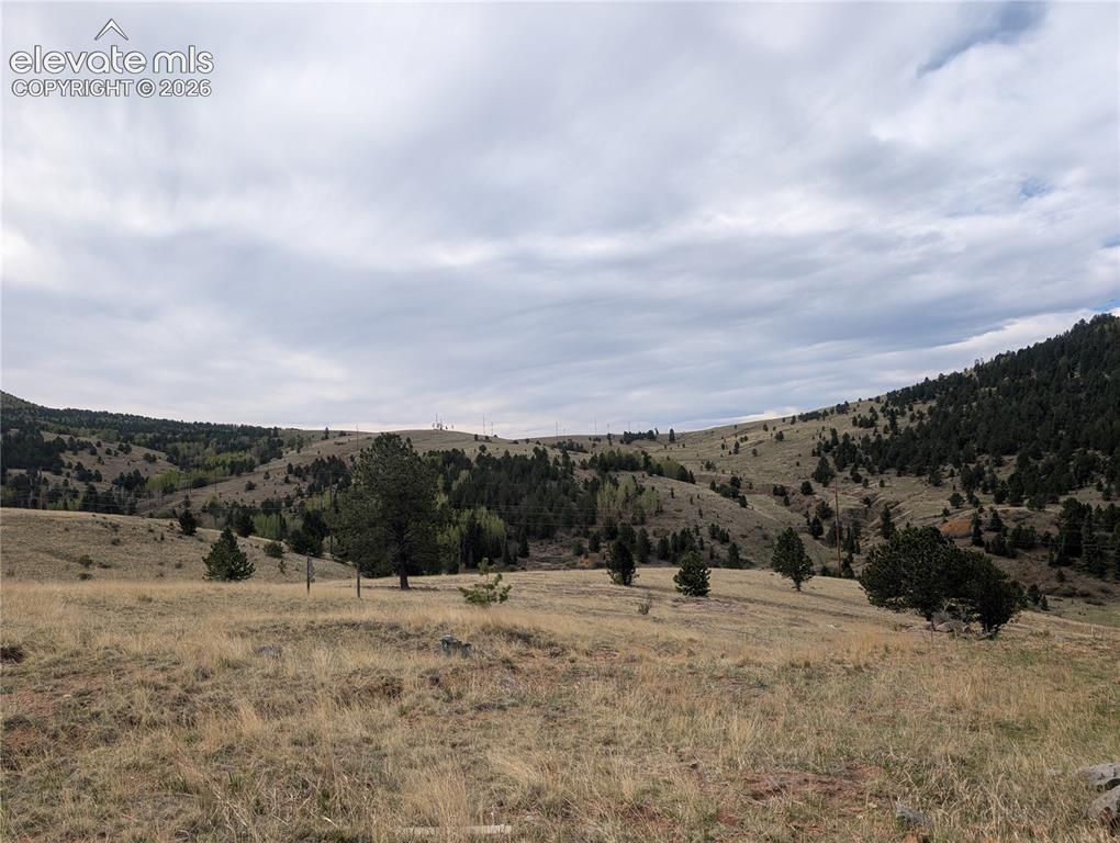 613 South 3rd Street Victor, CO 80860 - Photo 3 of 20