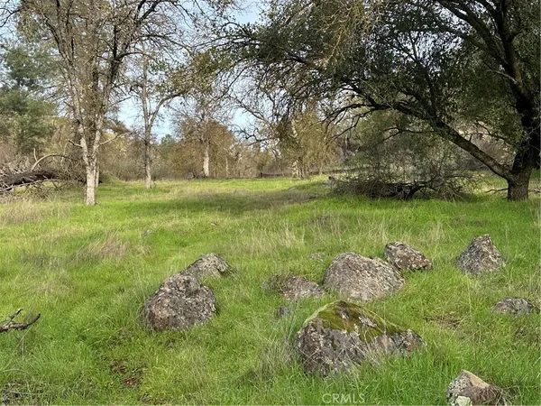 a view of a yard with large trees