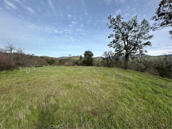 a big yard with lots of green space and trampoline