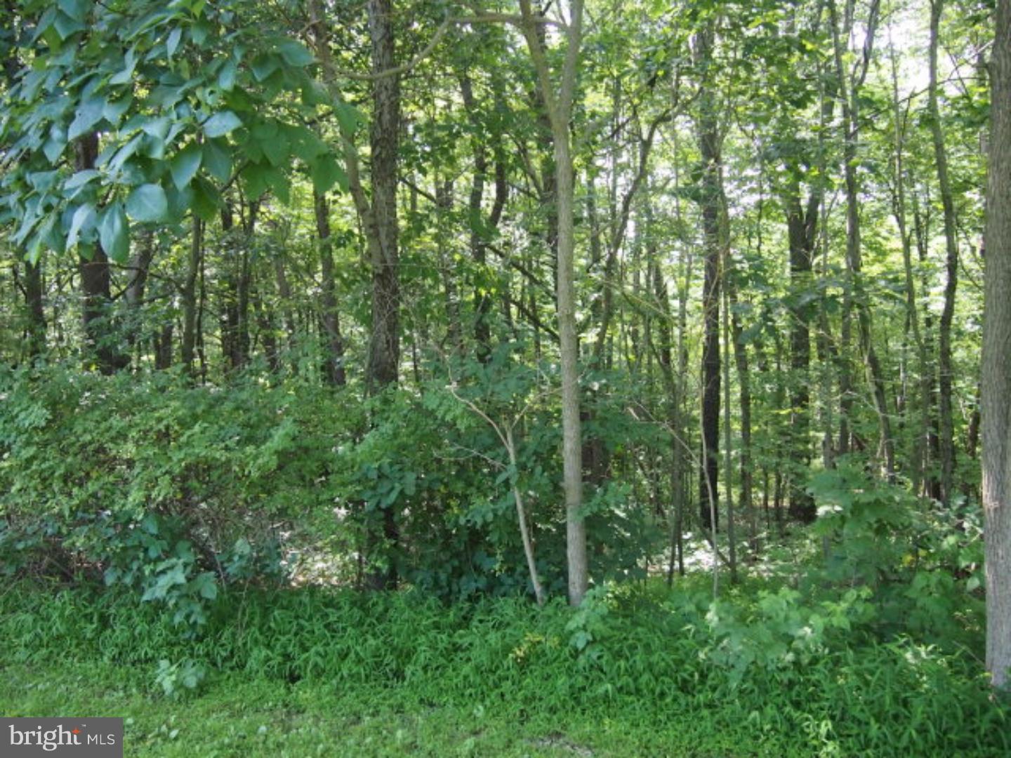 0 Moonshine Road Pine Grove, PA 17963 - Photo 2 of 8 Gallery Image 2