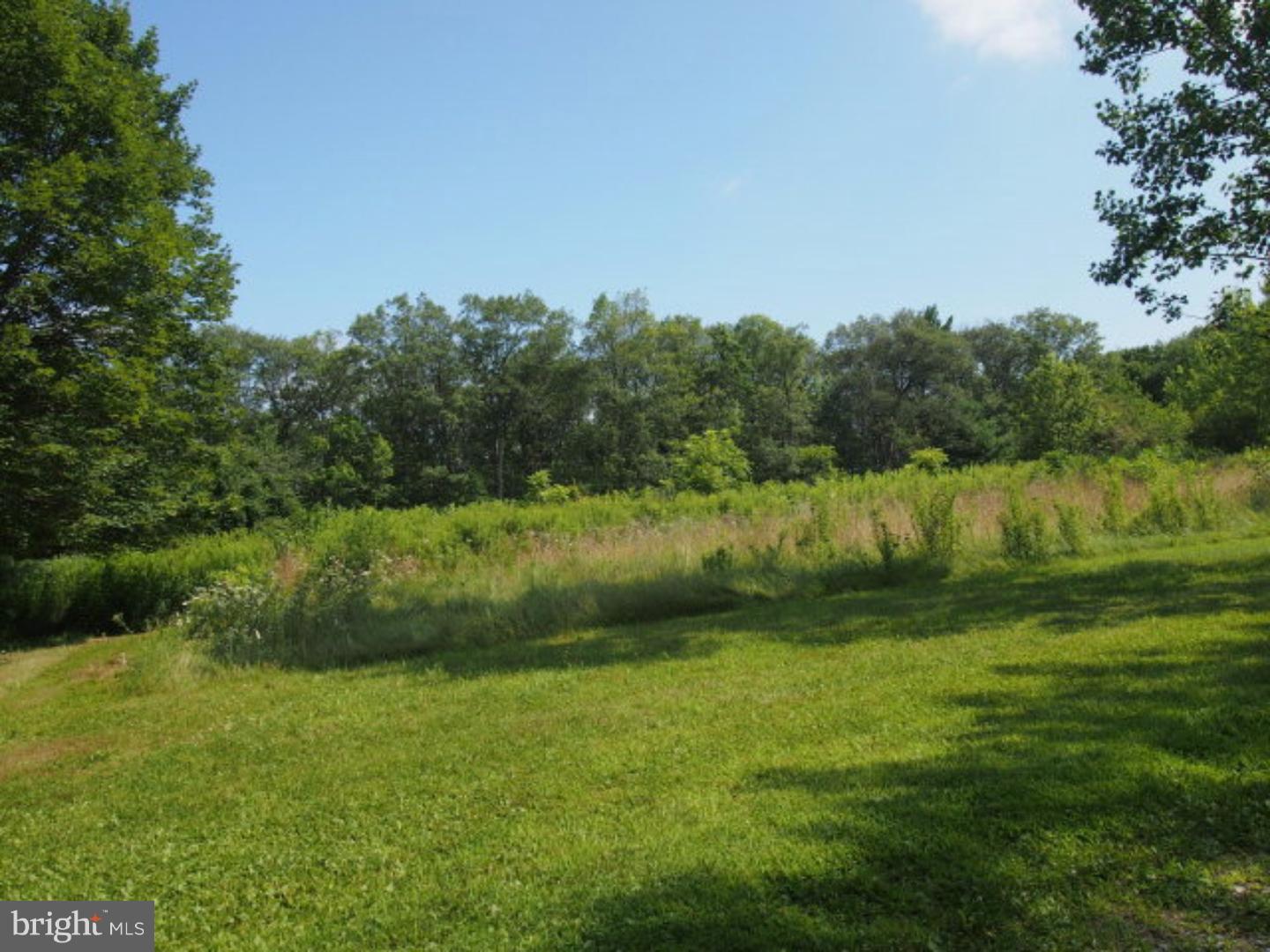 0 Moonshine Road Pine Grove, PA 17963 - Photo 3 of 8 Gallery Image 3