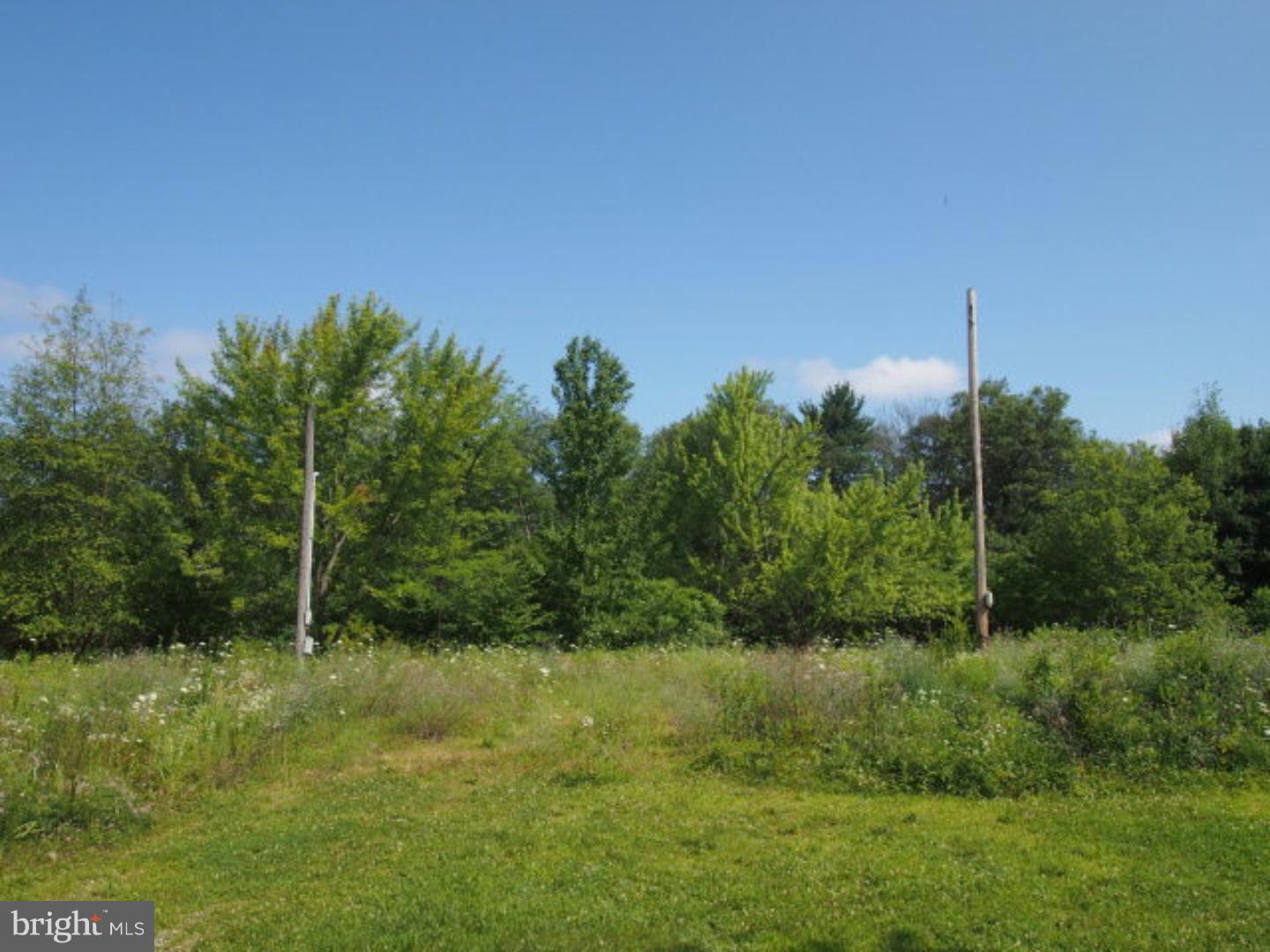 0 Moonshine Road Pine Grove, PA 17963 - Photo 4 of 8 Gallery Image 4