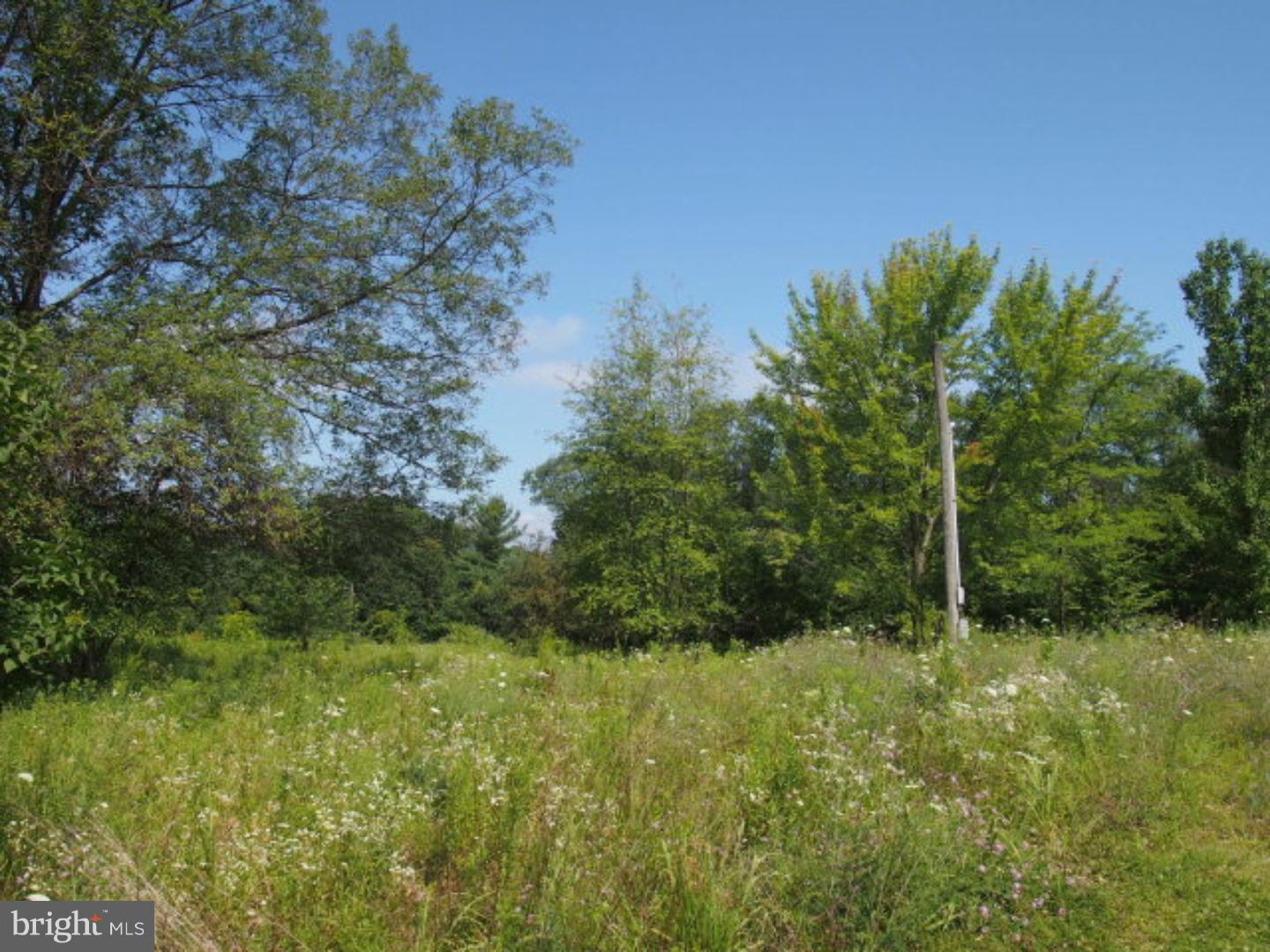 0 Moonshine Road Pine Grove, PA 17963 - Photo 6 of 8 Gallery Image 6